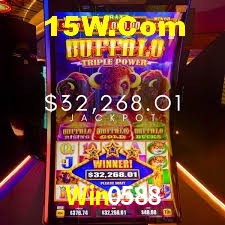 Experiência VIP Win0588